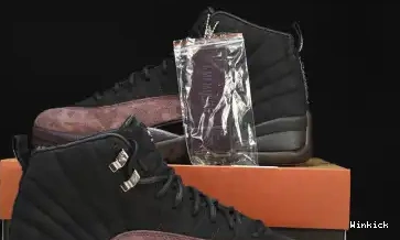 RETRO SP Jordan Air DV6989-001 WMNS AJ12 12 0603
